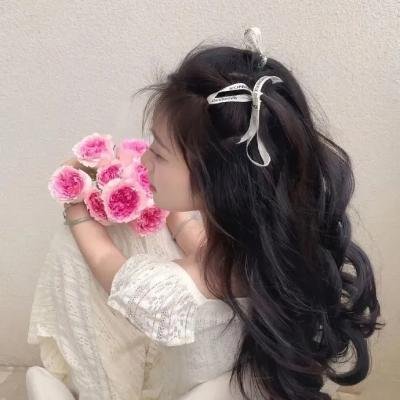 大内密探灵灵狗